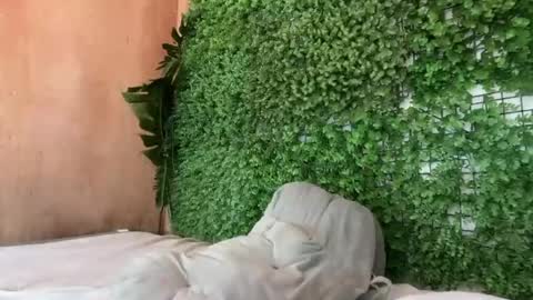 goddess_jennyxx online show from 03.29.26