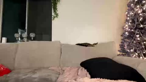 GoddessMayvn online show from 12.26.24