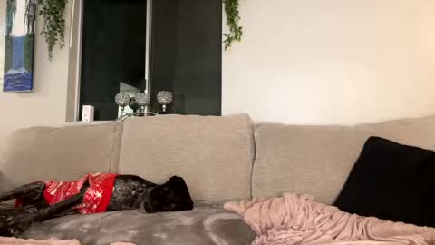 GoddessMayvn online show from 12.26.24