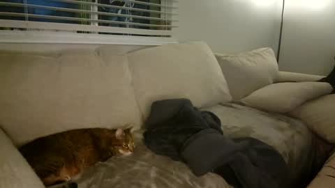 GoddessMayvn online show from 01.26.25