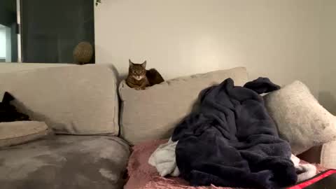 GoddessMayvn online show from 02.08.25