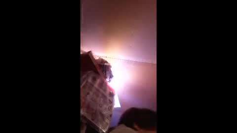 gofredgo19 online show from 04.04.26