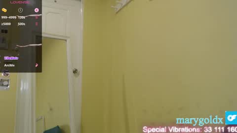 Snapshot of gold_mary_ chatting on 01.25.25 Mary online show from 01.25.25