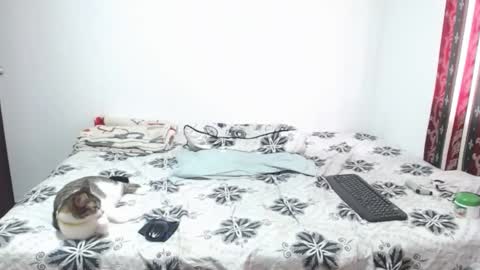 gold_shooter online show from 03.12.26