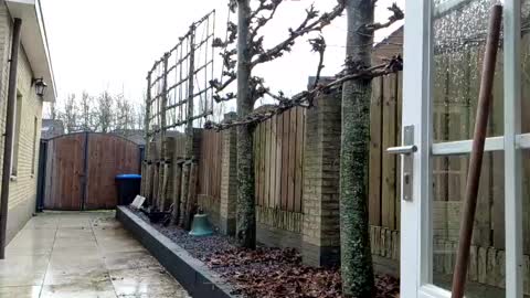   online show from 12.23.24