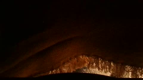 Serg online show from 04.03.26