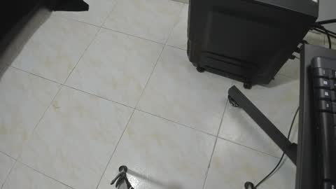 Snapshot of goldyht chatting on 12.16.25 goldyht online show from 12.16.25