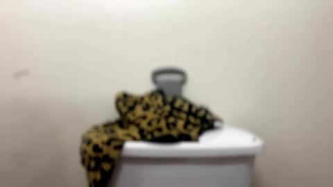 Snapshot of gooddick4206969 chatting on 05.31.26 Good Dick online show from 05.31.26
