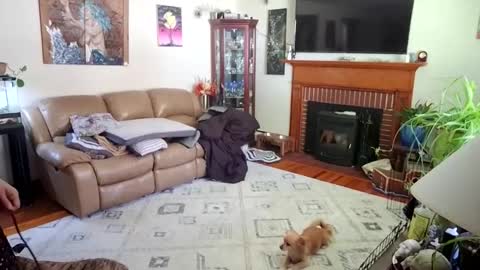 goodgirlcelestecat online show from 10.03.25