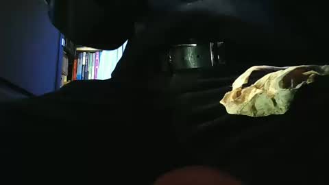 grapefruit online show from 03.11.26