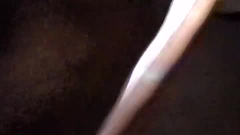 Get US to 1000 you wont be disapointed online show from 03.16.26