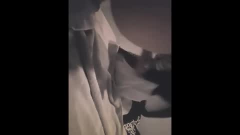 Snapshot of greekprince77 chatting on 12.02.25 greekprince77 online show from 12.02.25