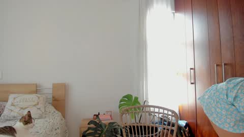 Gretta online show from 12.11.24