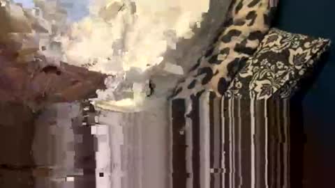 Snapshot of greymen2020 chatting on 02.16.26 greymen2020 online show from 02.16.26