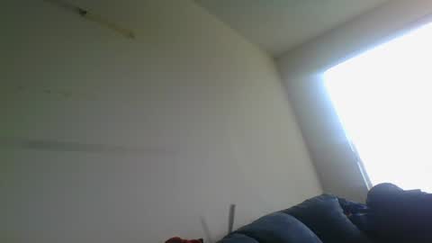 Snapshot of gringoloco253783 chatting on 12.31.24 certifiedloverboy online show from 12.31.24