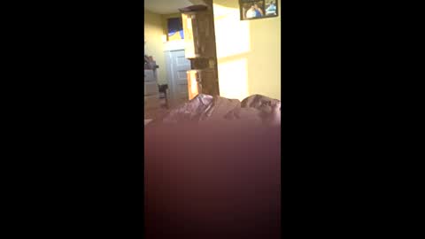 grizzely1975 online show from 11.24.25