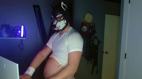 Alpha pup online show from 10.08.25