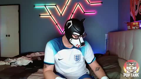 Alpha pup online show from 11.01.25