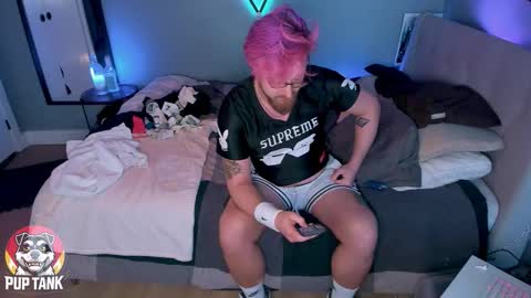 Alpha pup online show from 11.11.25