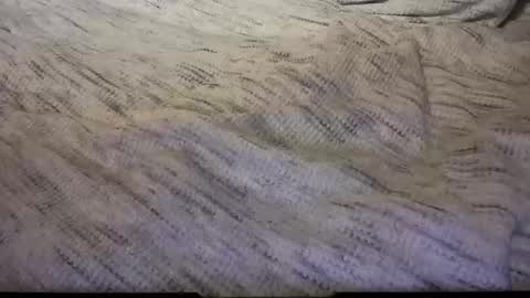 gumbywanna online show from 02.08.25