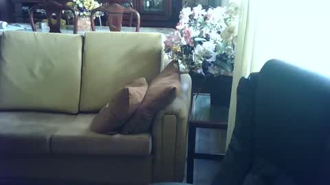 gutobhz249564 online show from 03.04.25