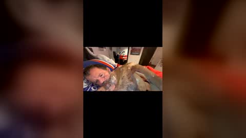 h20976 online show from 03.22.26