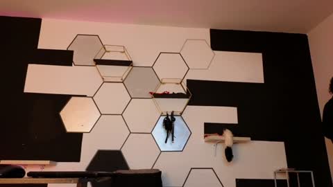 haileycat_ online show from 02.06.25