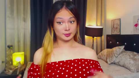 haily online show from 12.08.24