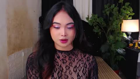 haily online show from 11.12.25