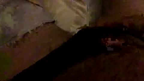 Snapshot of hairbear5 chatting on 01.10.26 Bruce online show from 01.10.26