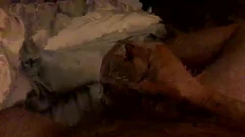 Snapshot of hairbear5 chatting on 02.04.26 Bruce online show from 02.04.26