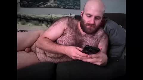 Hairiest Bear online show from 02.09.26
