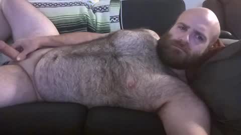 Hairiest Bear online show from 06.27.26