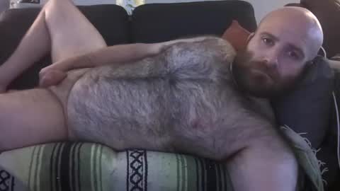 Hairiest Bear online show from 07.23.26