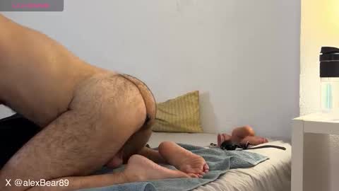 Snapshot of hairyarabbear chatting on 12.02.25 hairyarabbear online show from 12.02.25