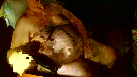 hairybear813 online show from 01.03.25