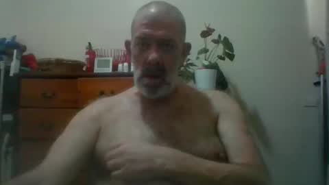Snapshot of hairypigsyd chatting on 11.14.25 HairyPigSyd online show from 11.14.25