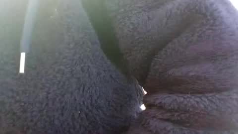 Snapshot of hairypussyxl chatting on 01.13.25 hairypussyxl online show from 01.13.25