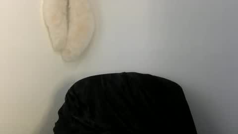 HairyTonkas online show from 03.08.25