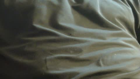 hamhead71 online show from 12.08.24