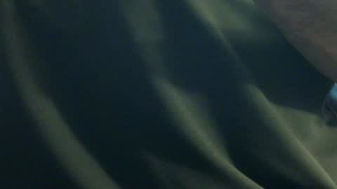 hamhead71 online show from 12.27.24