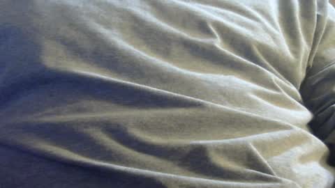 hamhead71 online show from 01.12.25