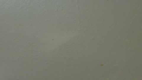 hamhead71 online show from 02.07.25