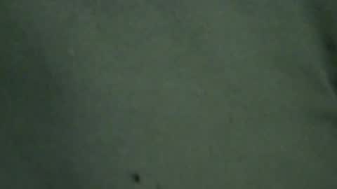 Snapshot of hamhead71 chatting on 06.20.26 hamhead71 online show from 06.20.26
