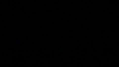 Handcyclist25 online show from 03.07.25