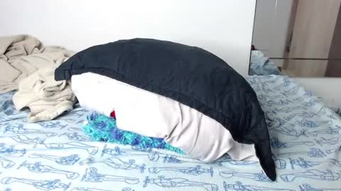 jorge daniel online show from 01.14.25