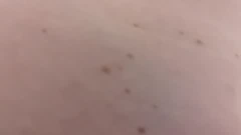 handsomerob42 online show from 01.18.26