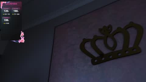     online show from 01.18.25