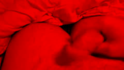 Small things matters online show from 03.08.26