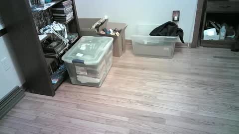 Hardy-Har online show from 01.06.25